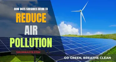Subsidies: Incentivizing Change to Reduce Air Pollution