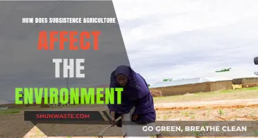 Subsistence Agriculture's Environmental Impact: Challenges and Sustainable Solutions