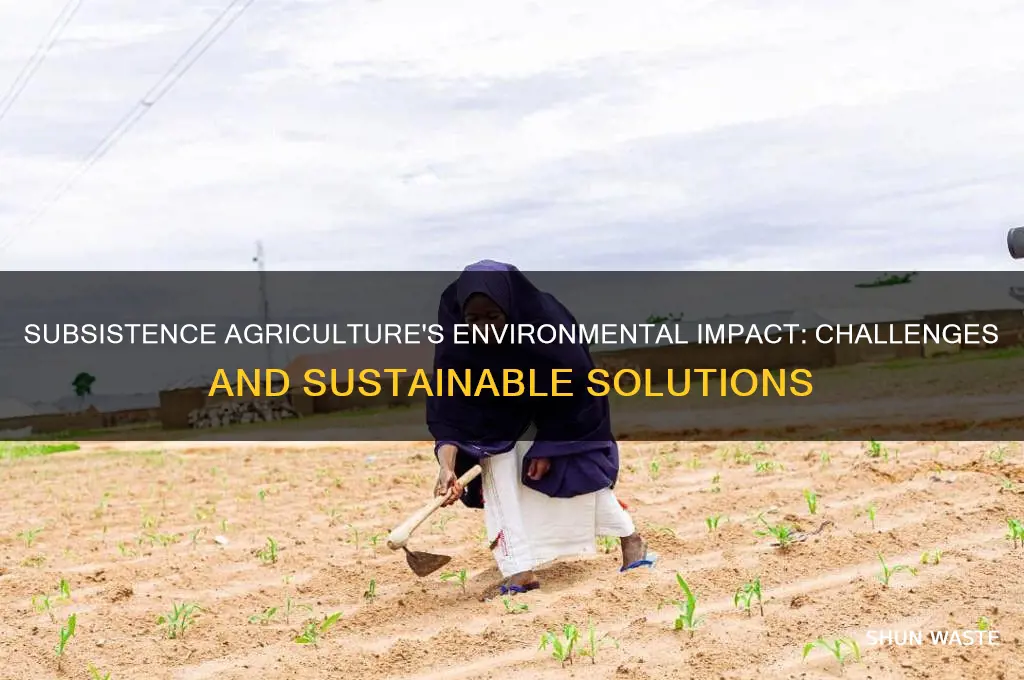 how does subsistence agriculture affect the environment