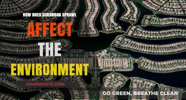 Suburban Sprawl's Environmental Impact: Consequences and Sustainable Solutions