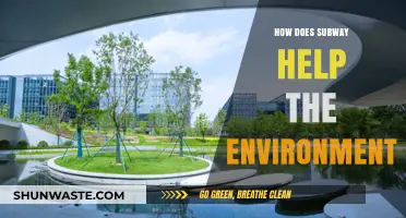 Subway's Eco-Friendly Practices: Reducing Carbon Footprint and Promoting Sustainability