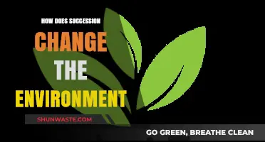 Succession's Impact: Transforming Ecosystems and Shaping Environmental Dynamics