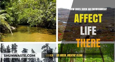 How Harsh Environments Shape Life: Adaptation and Survival Strategies Explored