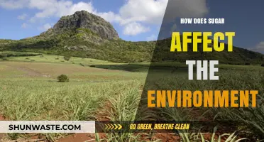 Sugar's Environmental Impact: Uncovering the Sweet Industry's Hidden Costs