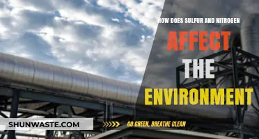 Sulfur, Nitrogen, and Their Environmental Impact: A Comprehensive Overview