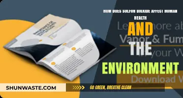 Sulfur Dioxide's Impact: Health Risks and Environmental Consequences Explained