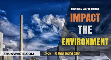 Sulfur Dioxide's Environmental Impact: Air, Water, and Ecosystem Effects