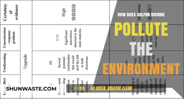 Sulfur Dioxide's Environmental Impact and Pollution