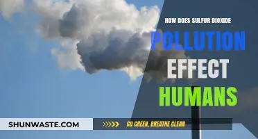 Sulfur Dioxide Pollution: Its Impact on Human Health