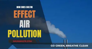 Sulfur's Impact: Understanding Air Pollution and Health Risks