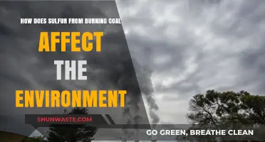 Sulfur Emissions from Coal: Environmental Impacts and Consequences