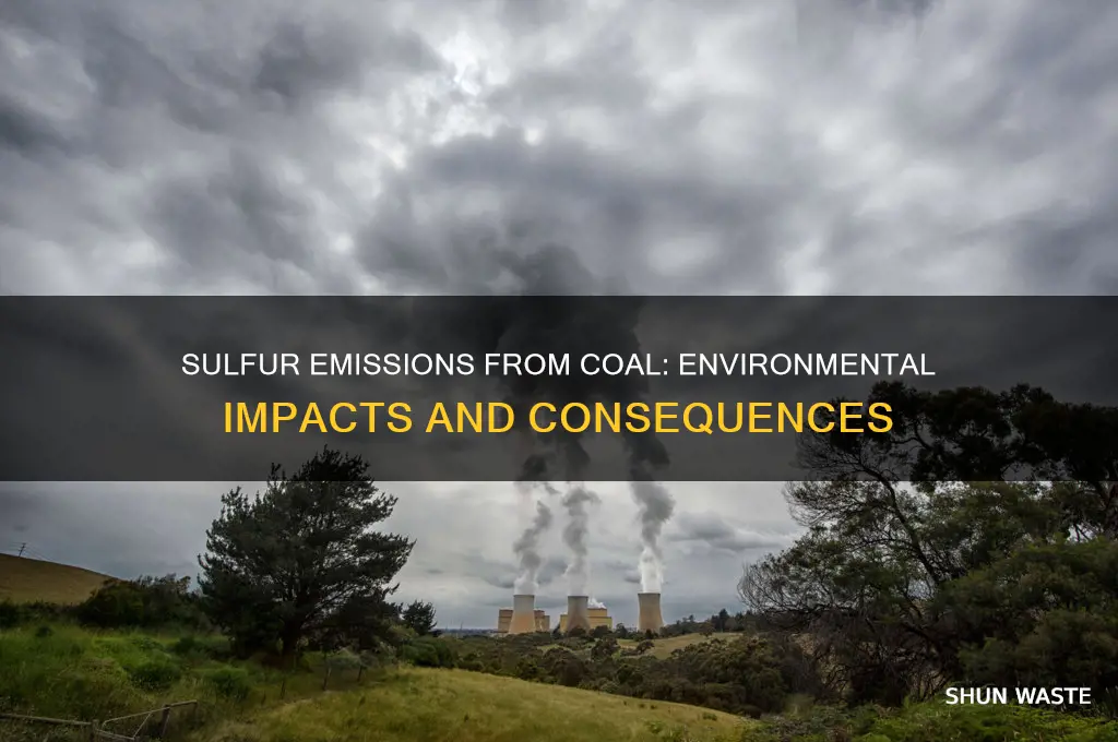 how does sulfur from burning coal affect the environment