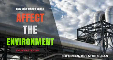 Sulfur Oxides' Environmental Impact: Air, Water, and Ecosystem Consequences