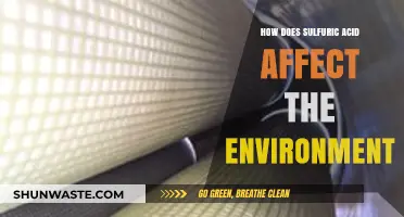 Sulfuric Acid's Environmental Impact: Pollution, Ecosystems, and Climate Effects