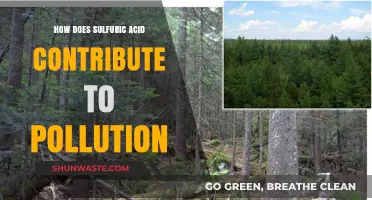 Sulfuric Acid Pollution: A Toxic Environmental Impact