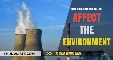 Sulphur Dioxide's Environmental Impact: Air, Water, and Ecosystem Effects