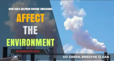Sulphur Dioxide Emissions: Environmental Impacts and Consequences Explained
