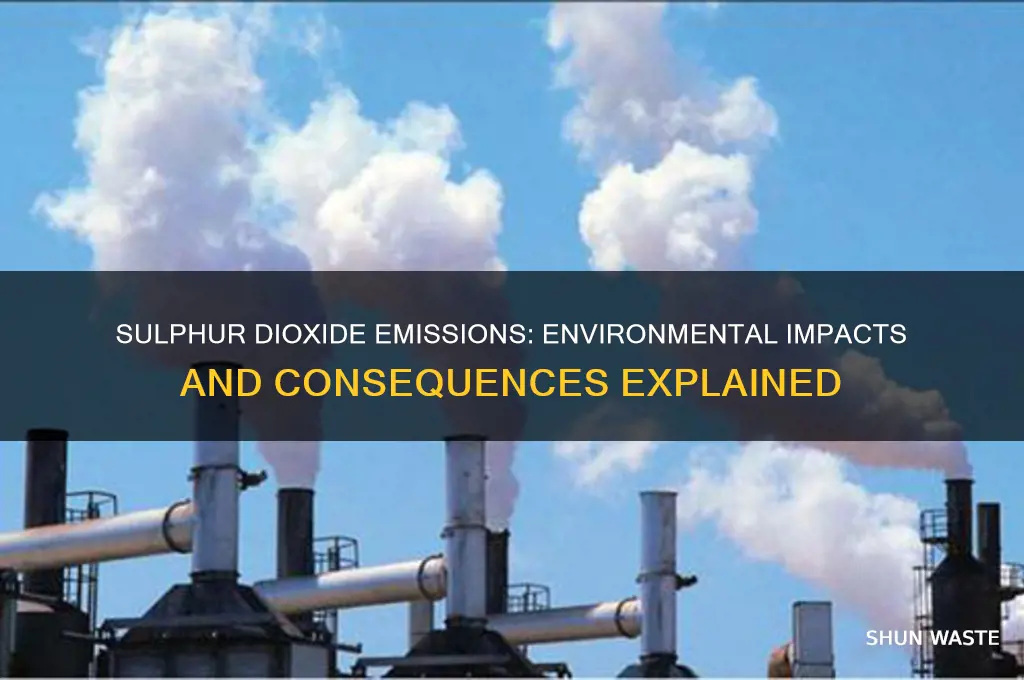 how does sulphur dioxide emissions affect the environment