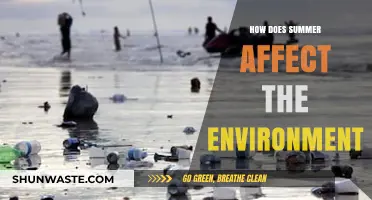 Summer's Impact: Environmental Changes and Ecological Effects Explained