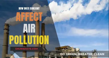 Sunlight's Impact on Air Pollution: A Complex Relationship