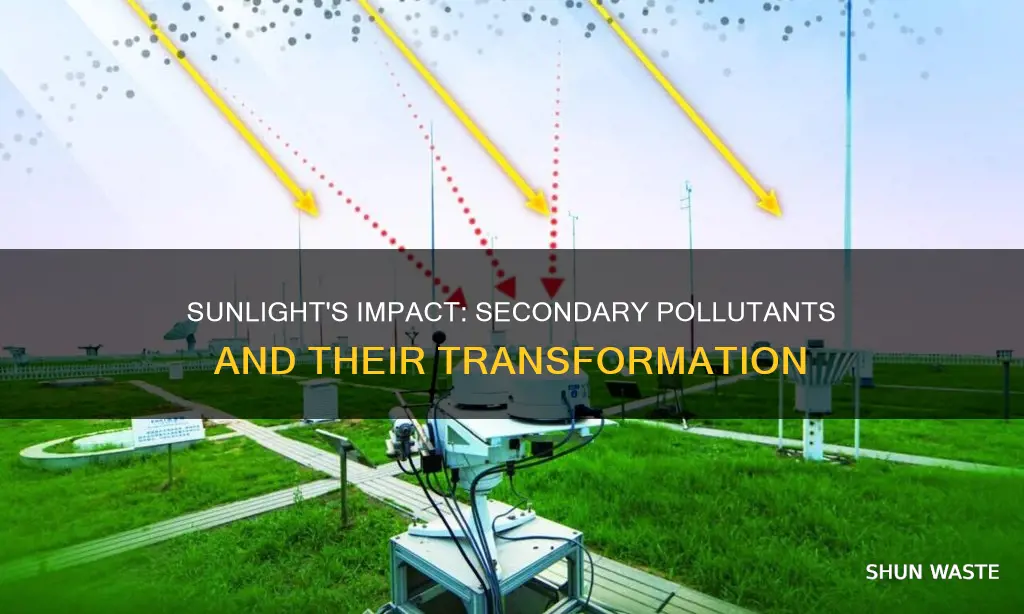 how does sunlight affect seconday pollutants