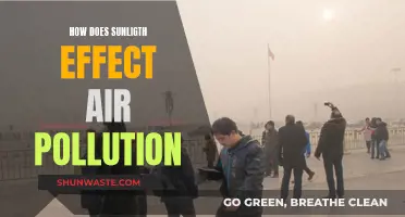 Sunlight's Impact: Air Pollution's Unseen Ally