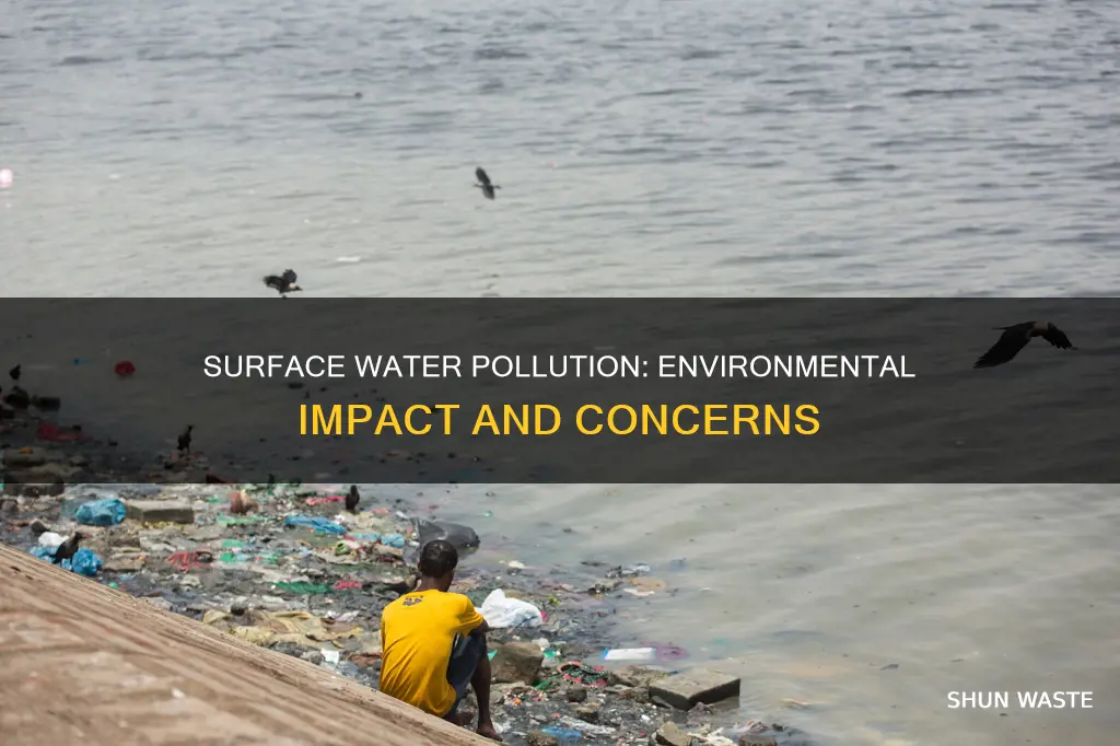 how does surface water pollution affect the environment