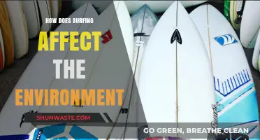 Surfing's Environmental Impact: Waves, Wildlife, and Coastal Ecosystems Explored