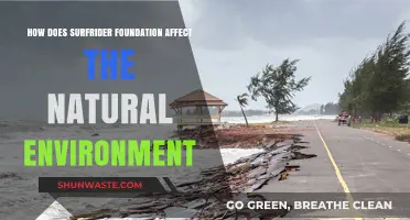 Surfrider Foundation's Impact: Protecting Coastlines and Preserving Ecosystems Naturally