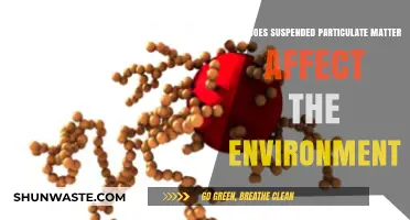 Suspended Particulate Matter: Environmental Impacts and Ecological Consequences Explained