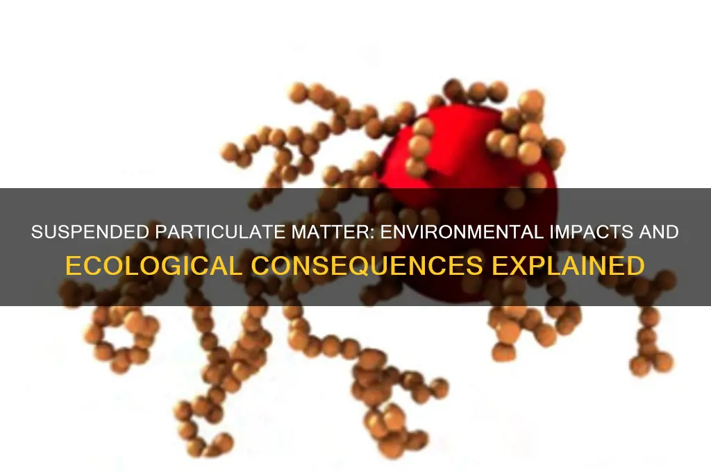 how does suspended particulate matter affect the environment