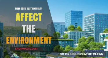 Sustainability's Impact: How Eco-Friendly Practices Transform Our Environment