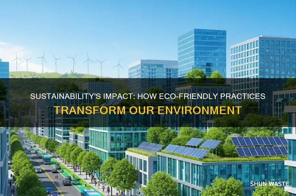 how does sustainability affect the environment