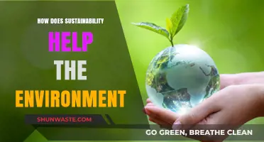 Sustainability's Impact: Protecting Our Planet for a Greener Future