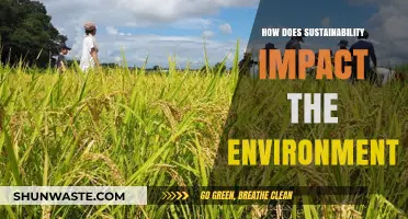 Sustainability's Environmental Impact: Preserving Ecosystems for a Greener Future