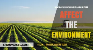 Sustainable Agriculture: Environmental Benefits and Long-Term Ecological Impact Explored