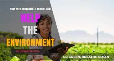 Sustainable Agriculture: Nurturing the Environment for a Greener Future