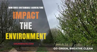 Sustainable Agriculture: Transforming Ecosystems and Preserving Our Planet's Future