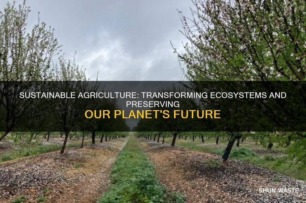 how does sustainable agriculture impact the environment
