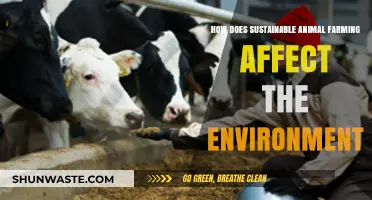 Sustainable Animal Farming: Environmental Impact and Eco-Friendly Practices