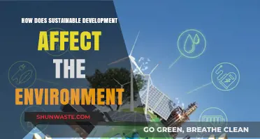 Sustainable Development: Transforming Ecosystems and Preserving Our Planet's Future