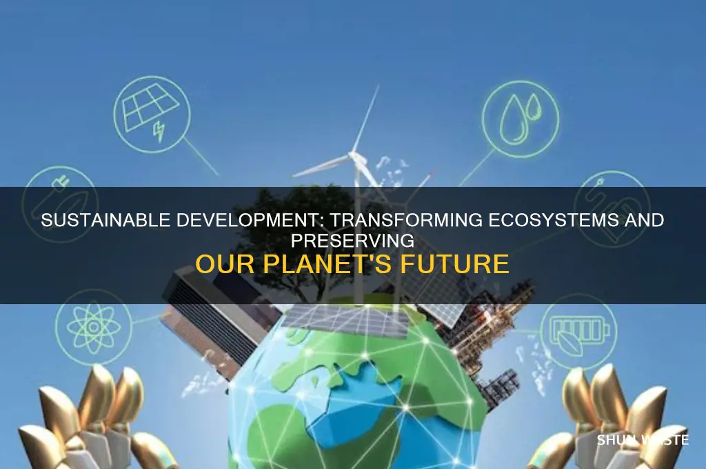how does sustainable development affect the environment