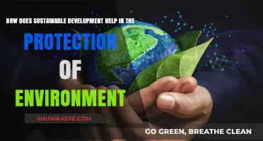 Sustainable Development: A Key Strategy for Environmental Protection and Preservation