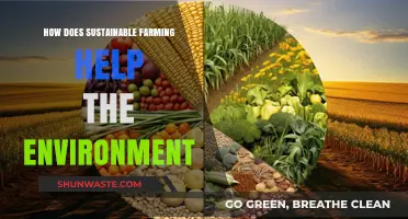 Sustainable Farming: Nurturing the Planet for a Greener Future