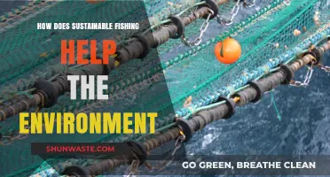 Sustainable Fishing: Protecting Marine Ecosystems and Preserving Our Planet's Health
