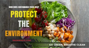 Sustainable Food Choices: Protecting Our Planet One Meal at a Time