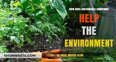 Sustainable Gardening: Nurturing the Planet One Green Thumb at a Time