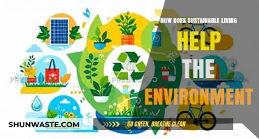 Sustainable Living: Protecting Our Planet for a Greener Future