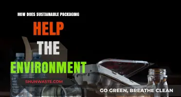 Eco-Friendly Packaging: Reducing Waste and Protecting Our Planet's Future