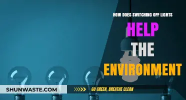 Switching Off Lights: A Simple Eco-Friendly Habit for a Greener Planet